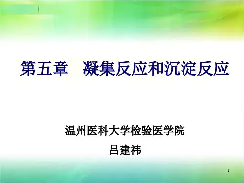 凝集反应和沉淀反应