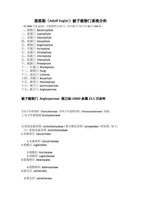 被子植物系统分科(恩格勒系统)