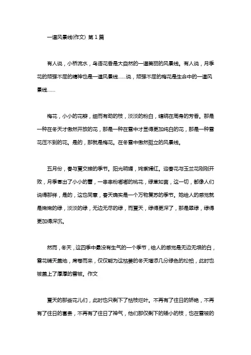 一道风景线(作文)(20篇)