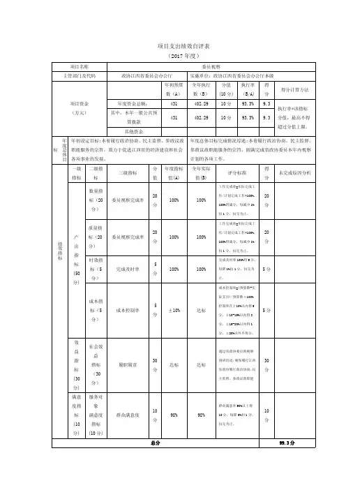 项目支出绩效自评表2017
