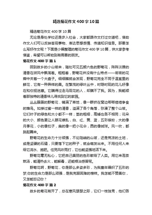 精选菊花作文400字10篇