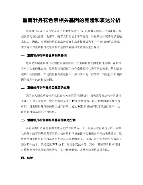 重瓣牡丹花色素相关基因的克隆和表达分析