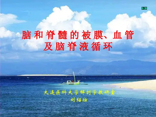 医学课件脑和脊髓的被膜血管及脑脊液循环PPT课件