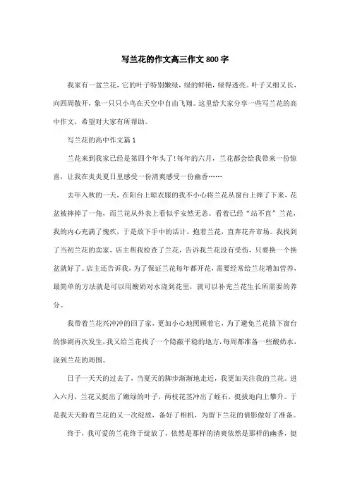 写兰花的作文高三作文800字
