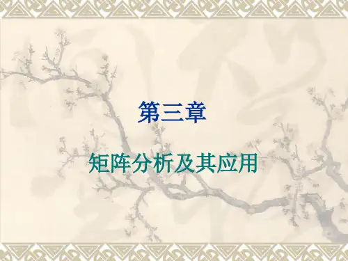 矩阵分析及其应用