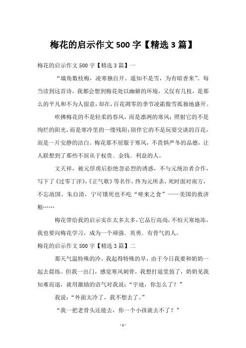 梅花的启示作文500字【3篇】