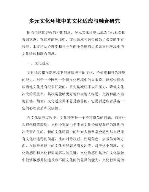 多元文化环境中的文化适应与融合研究