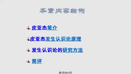 日内瓦学派PPT课件