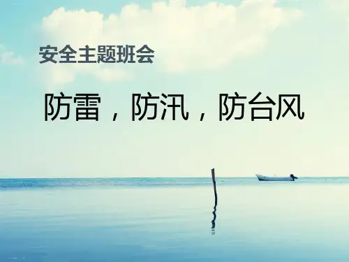 《防雷,防汛,防台风》PPT优秀课件