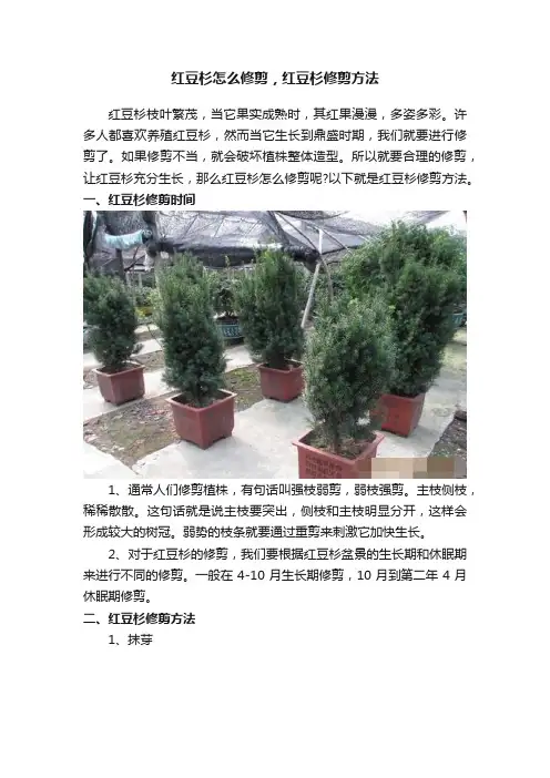 红豆杉怎么修剪，红豆杉修剪方法