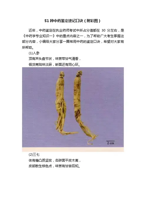 51种中药鉴定速记口诀（附彩图）