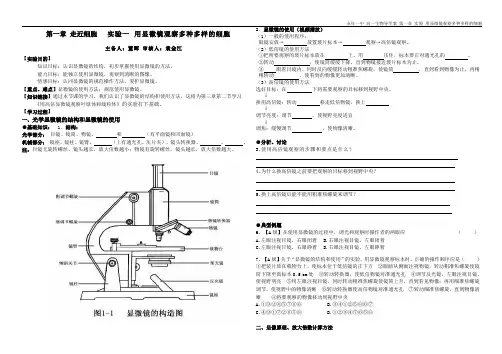 【高中生物】3.显微镜的使用(导学案)