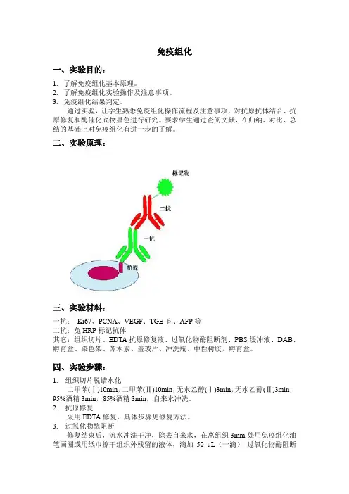 免疫组化实验报告