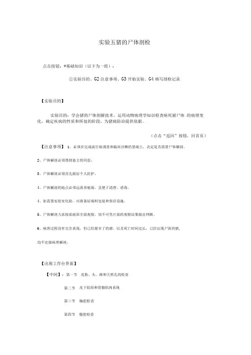 实验-猪的尸体解剖