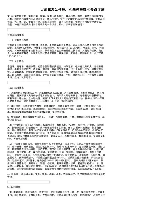 贡菊花怎么种植，贡菊种植技术要点详解