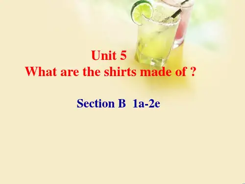 Unit5SectionB(1a2e)课件人教版英语九年级全册