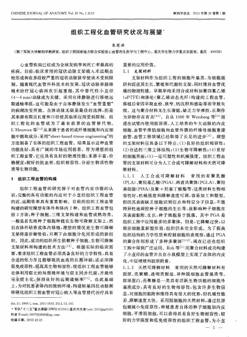 组织工程化血管研究状况与展望