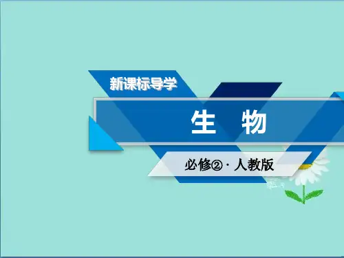 (人教版)高中生物必修二课件第7章 第2节现代生物进化理论的主要内容