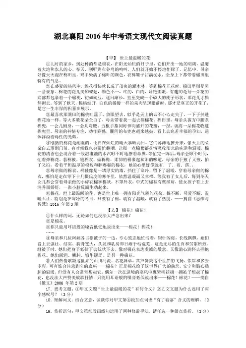 湖北襄阳2016年中考语文现代文阅读真题