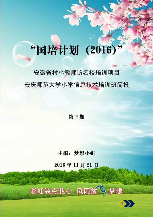 小学信息技术班培训简报