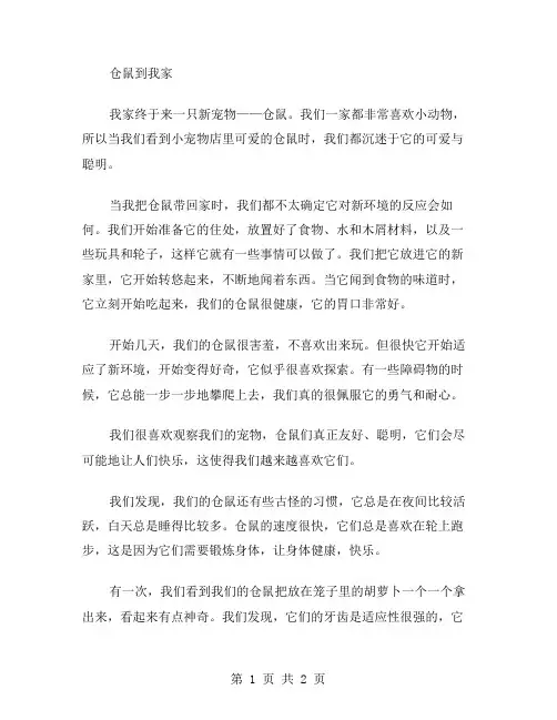 仓鼠到我家作文范文