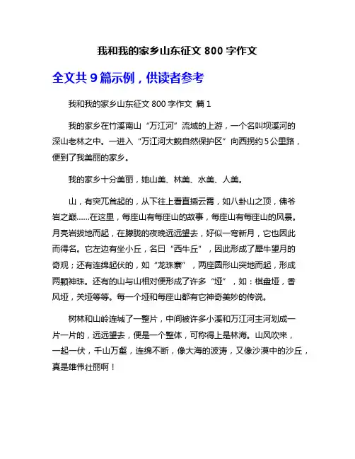 我和我的家乡山东征文800字作文