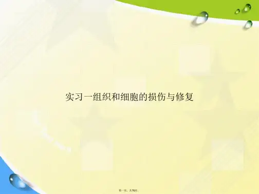 实习一组织和细胞的损伤与修复讲课文档