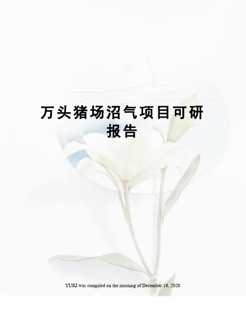 万头猪场沼气项目可研报告