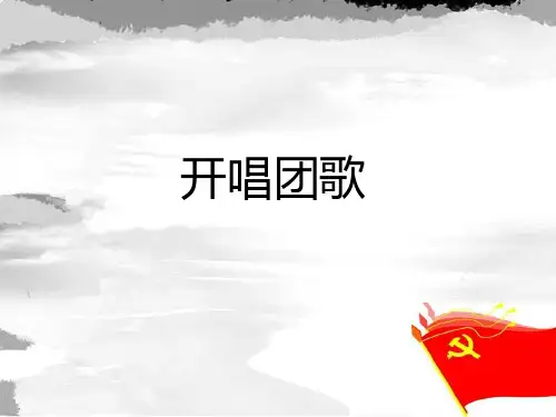 光荣啊,中国共青团