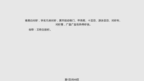 南美白对虾常见疾病及防治PPT课件