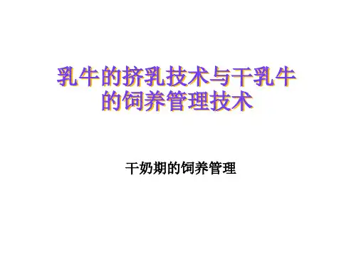 乳牛的挤乳技术与干乳牛的饲养管理技术——干奶期的饲养管理