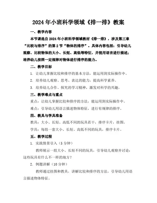 2024年小班科学领域《排一排》教案