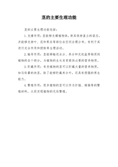 茎的主要生理功能