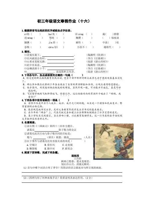 初三年级语文寒假作业(十六)