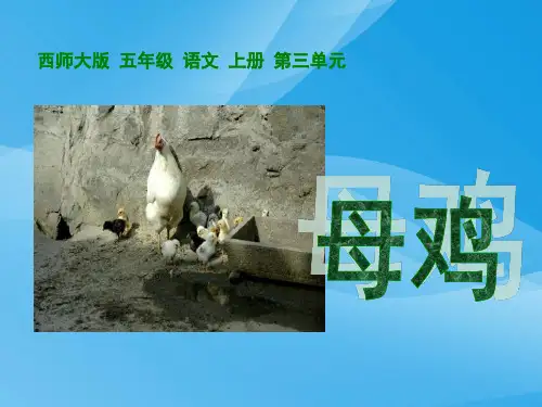 西师大版五年级上册语文第9课《母鸡》课件PPT课件PPT