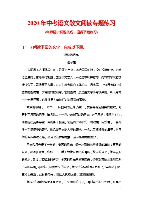 2020年中考语文散文阅读专题练习(推荐)