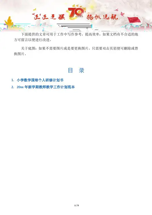 【写作范文2篇】小学数学国培个人研修计划书
