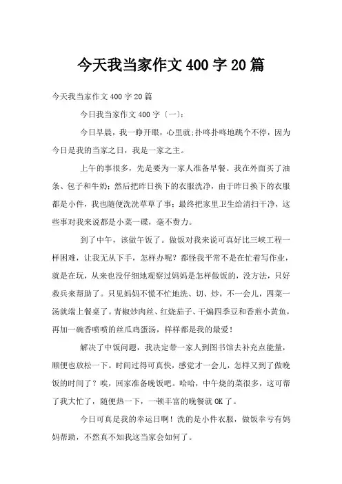 今天我当家作文400字20篇