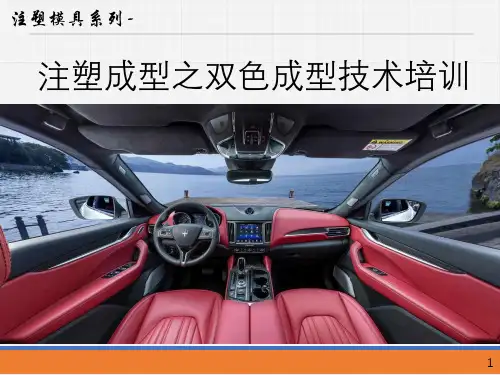 注塑成型之双色成型技术