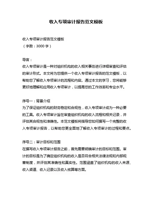 收入专项审计报告范文模板