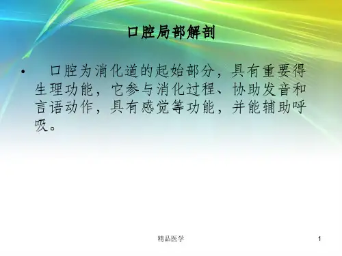 《口腔局部解剖》PPT课件