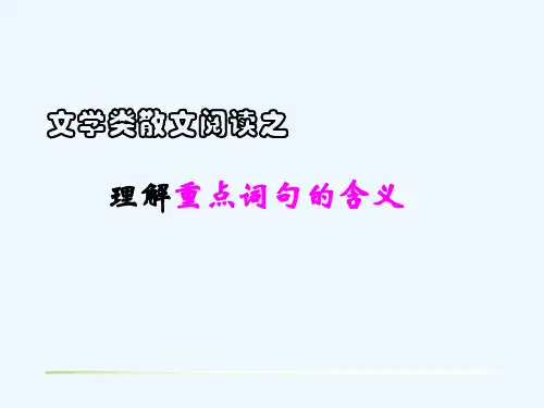 语文苏教版九年级上册散文阅读之理解重点词句的含义