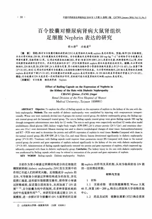 百令胶囊对糖尿病肾病大鼠肾组织足细胞Nephrin表达的研究