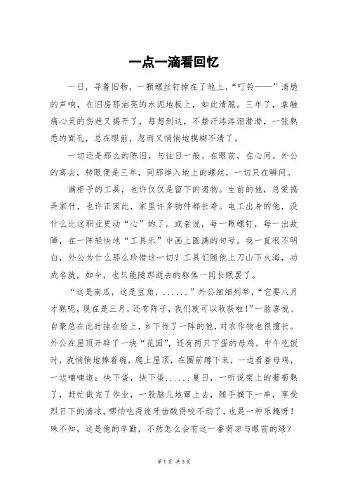 一点一滴看回忆_高三作文_1