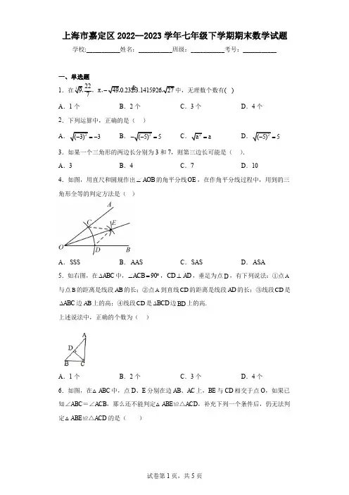 上海市嘉定区2022--2023学年七年级下学期期末数学试题