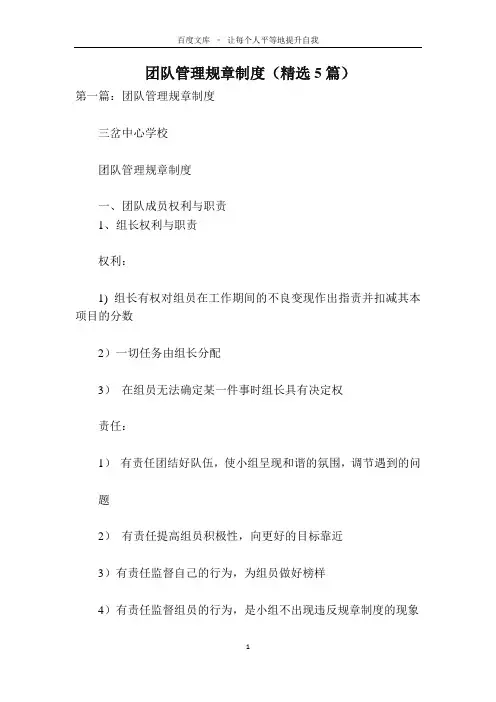 团队管理规章制度(精选5篇)