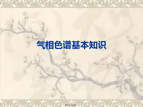 气相色谱基本知识PPT课件