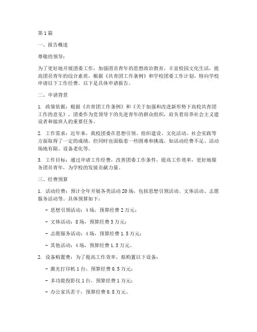 团委工作经费申请报告(3篇)