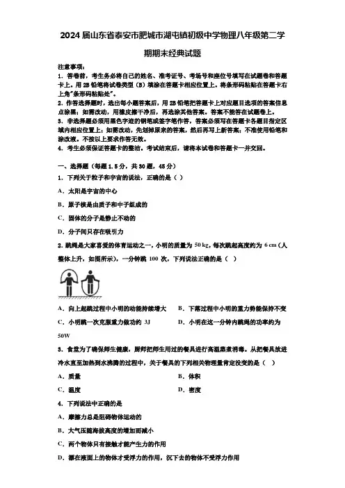 2024届山东省泰安市肥城市湖屯镇初级中学物理八年级第二学期期末经典试题含解析