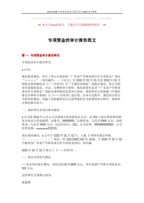 2018-2019-专项资金的审计报告范文-word范文模板 (7页)
